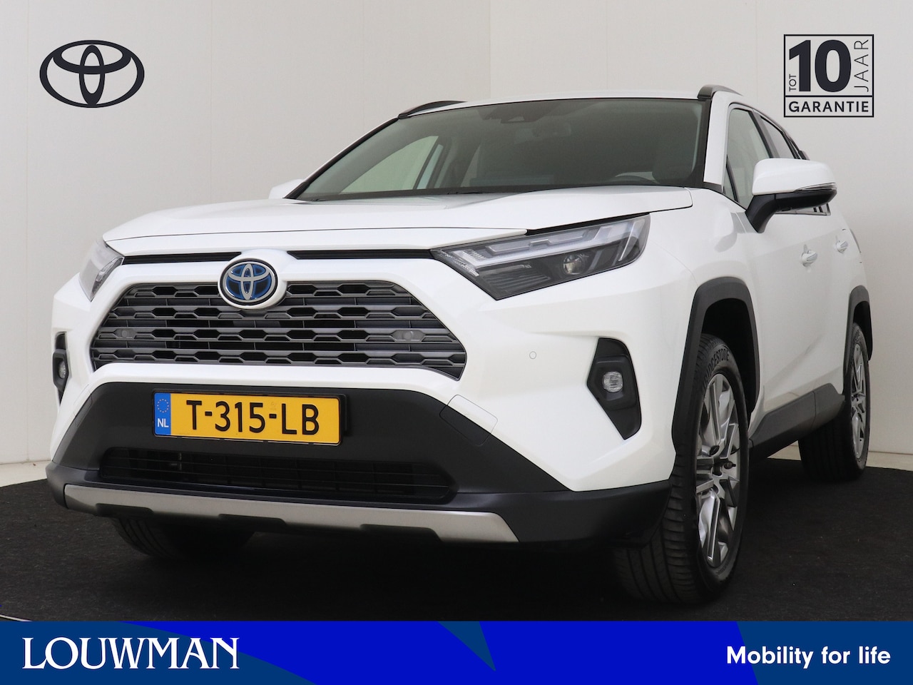 Toyota RAV4 - 2.5 Hybrid Executive | Dealeronderhouden | Lederenbekleding | Stoelverwarming | - AutoWereld.nl