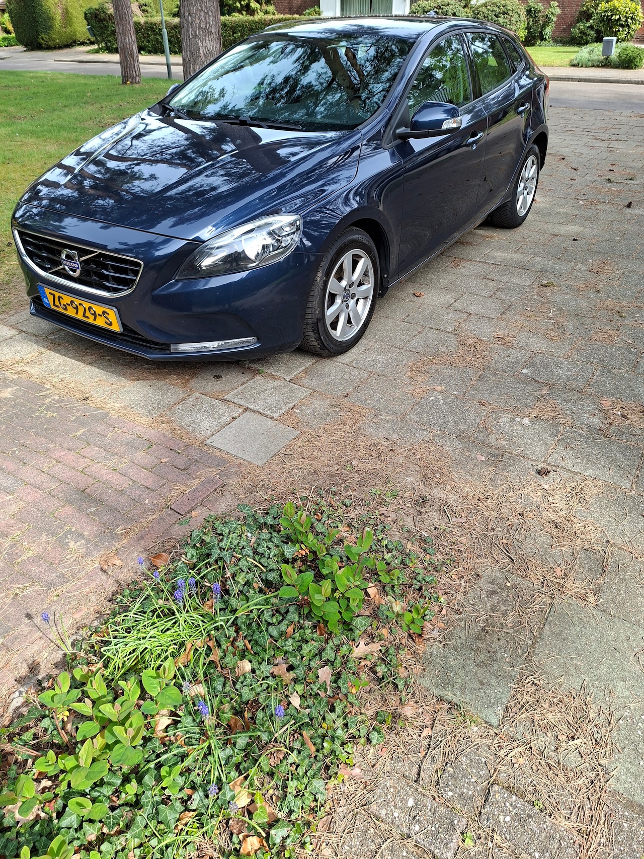 Volvo V40 - 1.6 D2 - AutoWereld.nl
