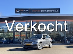 Skoda Kamiq - 1.0 TSI Business Edition DSG 110 pK Rijklaarprijs Incl. afleveringsbeurt en 12 maanden BOV