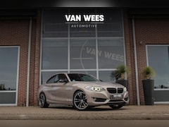BMW 2-serie Coupé - 220i F22 Executive | 184 pk | Automaat | 18 inch | Xenon | Leer | Sportstuur | Cruise cont