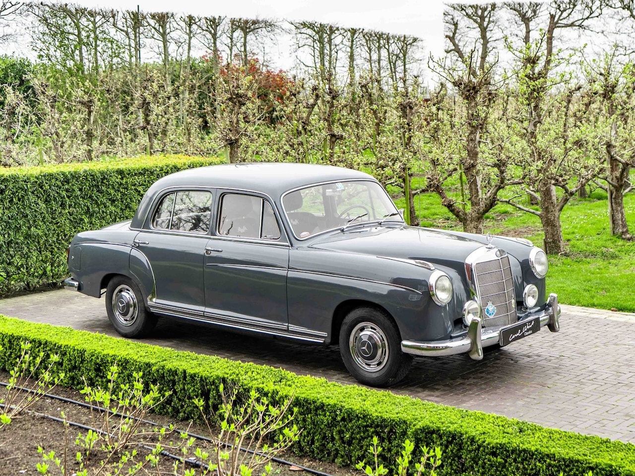 Mercedes-Benz S-klasse - 220 - AutoWereld.nl