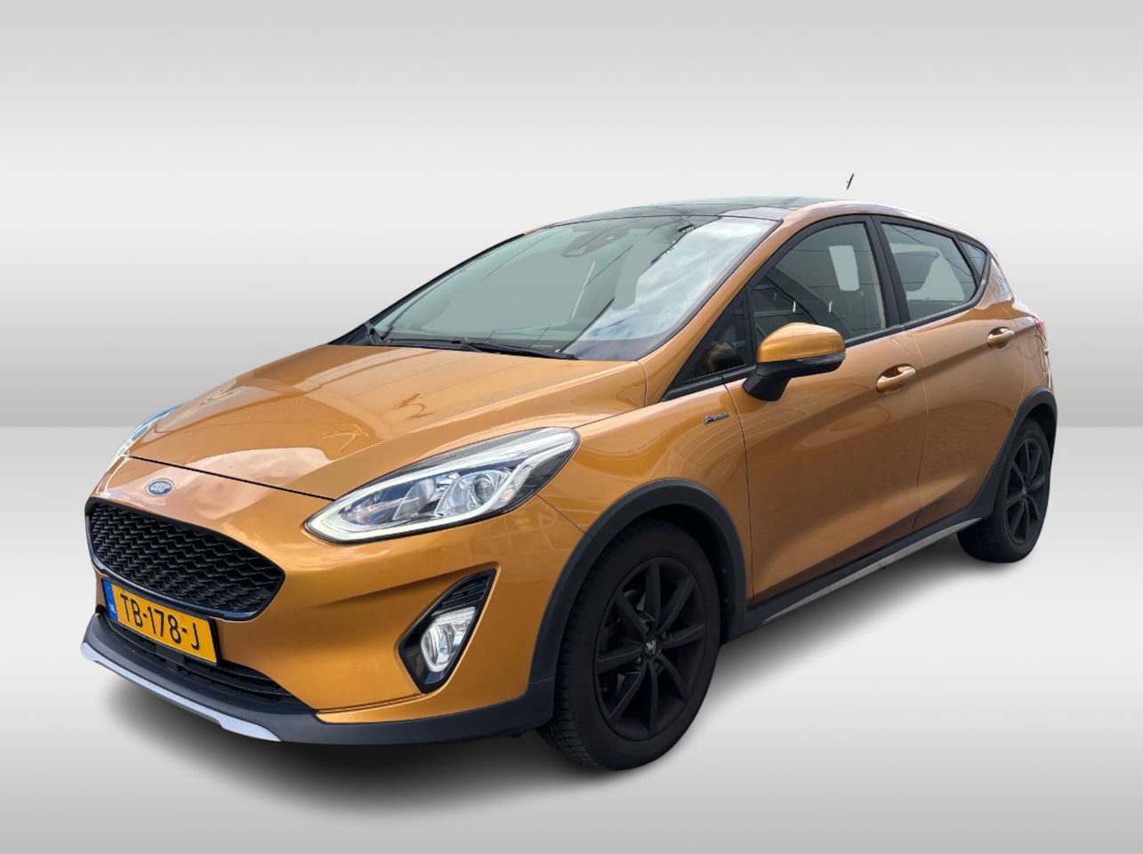 Ford Fiesta - 1.0 EcoBoost Active First Edition Panoramadak / Parkeerhulp achter / Navigatie / DAB / ACC - AutoWereld.nl