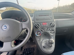 Fiat Panda - 1.2 Edizione Cool