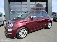 Fiat 500 - 1.0 Hybrid Dolcevita 43dkm Carplay Org Ned UNIEK