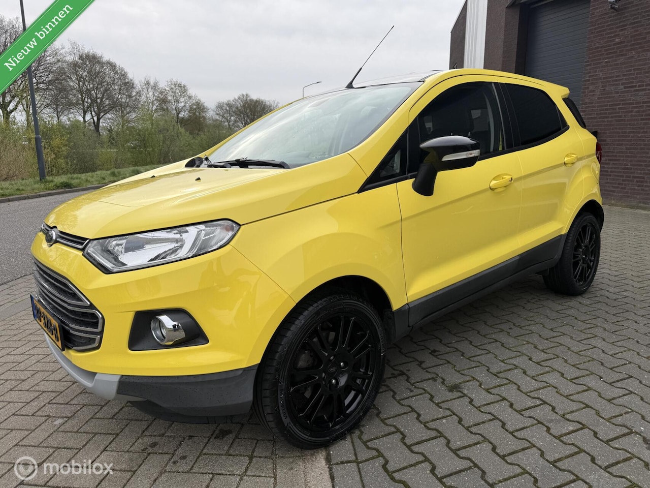 Ford EcoSport - 1.0 EcoBoost Titanium 1.0 EcoBoost Titanium - AutoWereld.nl