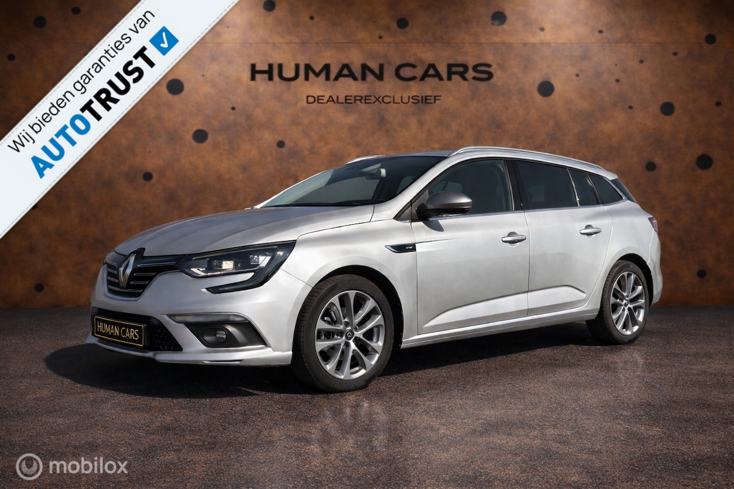 Renault Mégane Estate - 1.3 TCe GT-Line 40pk 2019 camera sport - AutoWereld.nl