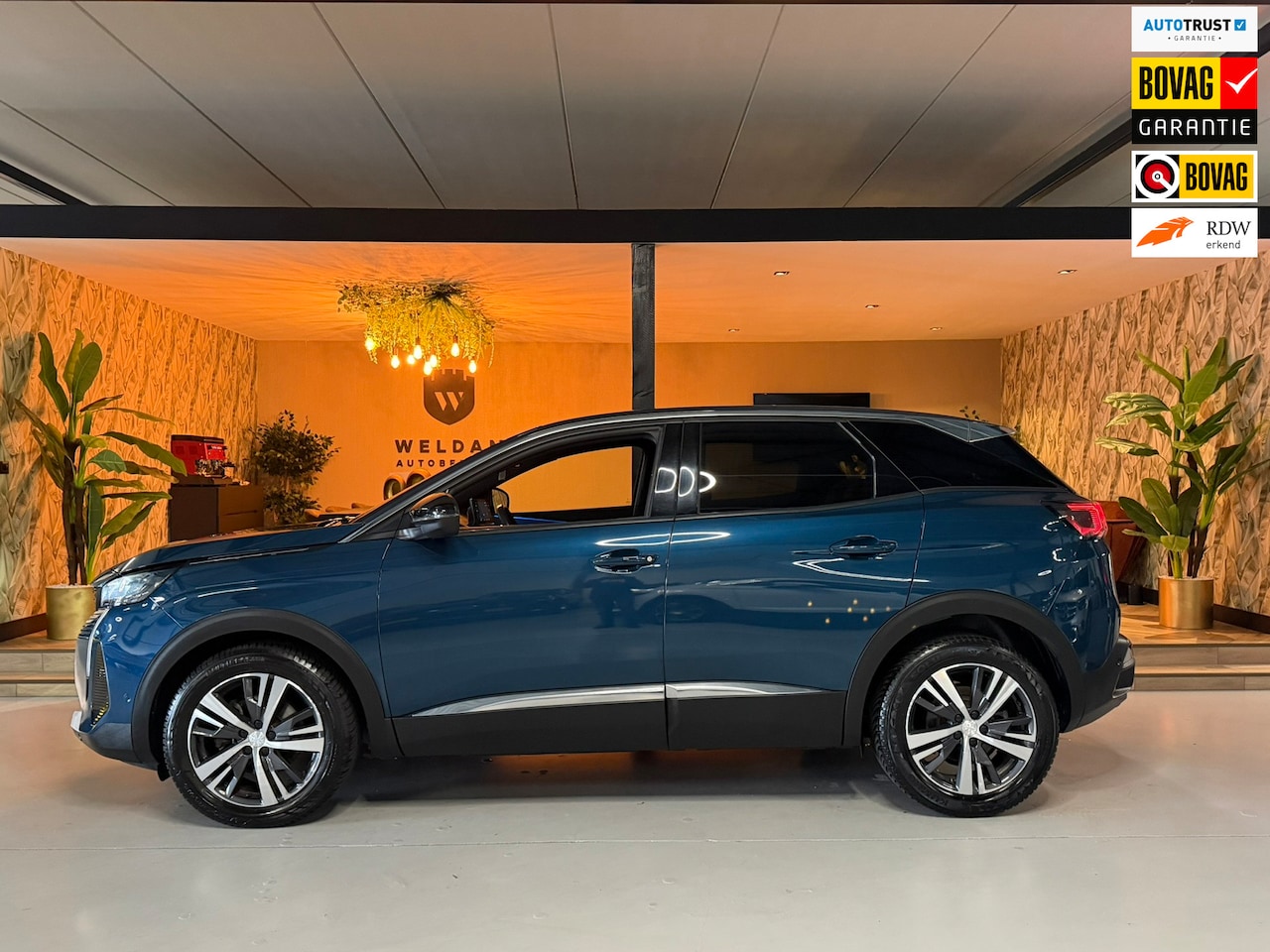 Peugeot 3008 - 1.2 PureTech Allure Pack Business Garantie Carplay Camera Blindspot Cruise Navi Clima Sfee - AutoWereld.nl
