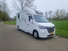 Renault Master Pro - STX S3 Pro-Safety hengsten uitvoering paardenwagen, id 47