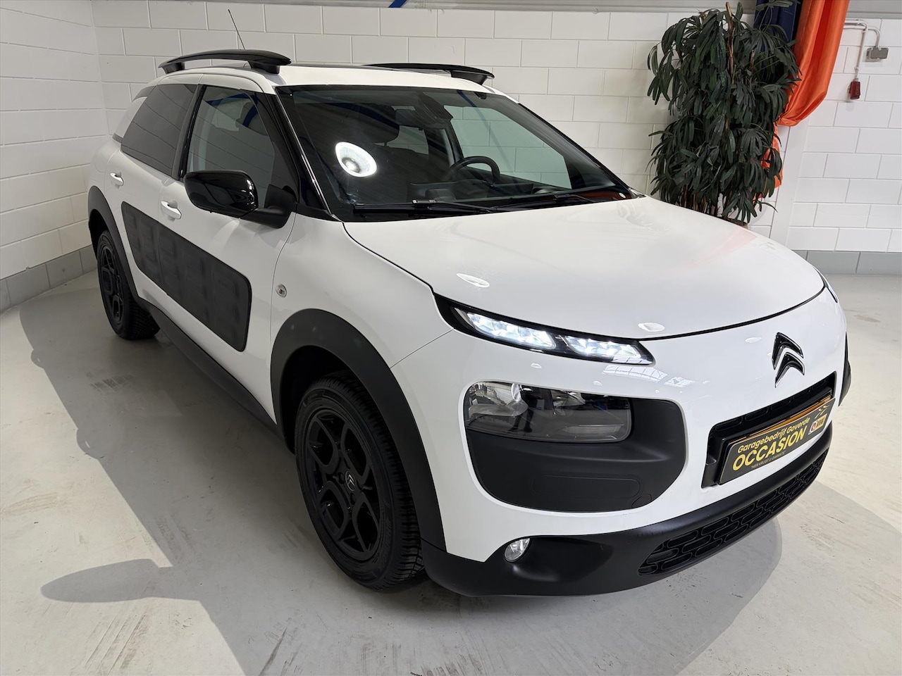 Citroën C4 Cactus - VTi 82pk SHINE, PANO, Camera, Cruise - AutoWereld.nl