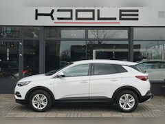 Opel Grandland X - 1.2 Turbo Business Executive | Carplay | Trekhaak