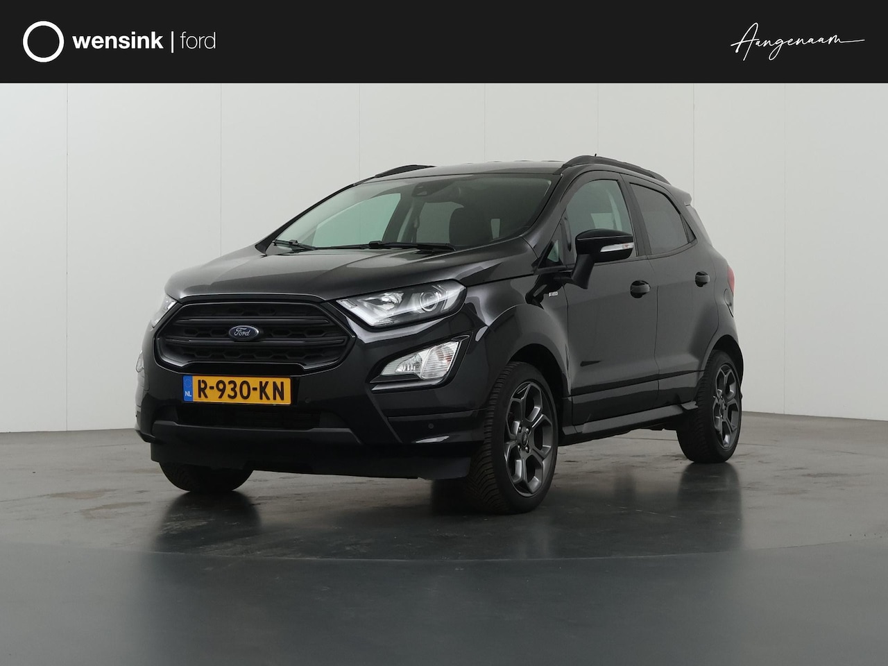 Ford EcoSport - 1.0 EcoBoost ST-Line Black | Trekhaak | Winterpakket | Parkeercamera | Keyless Go | B&O | - AutoWereld.nl