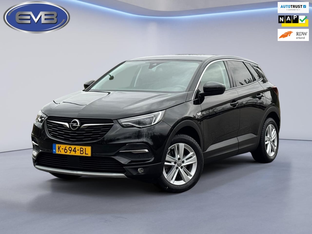 Opel Grandland X - 1.2 Turbo Business Executive 1.2 Turbo Business Executive, achteruitrijcamera,trekhaak, 1/2 lederen sportinterieur, 1 e - AutoWereld.nl