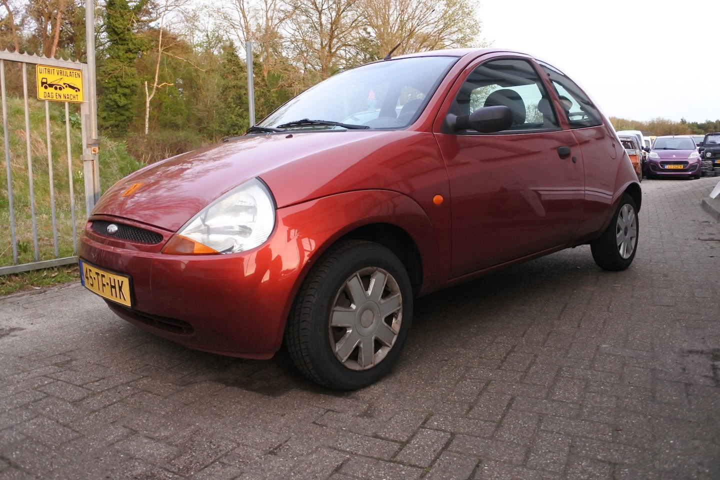 Ford Ka - 1.3 Futura 92 dkm apk 14-8-2026 div. exstra,s - AutoWereld.nl