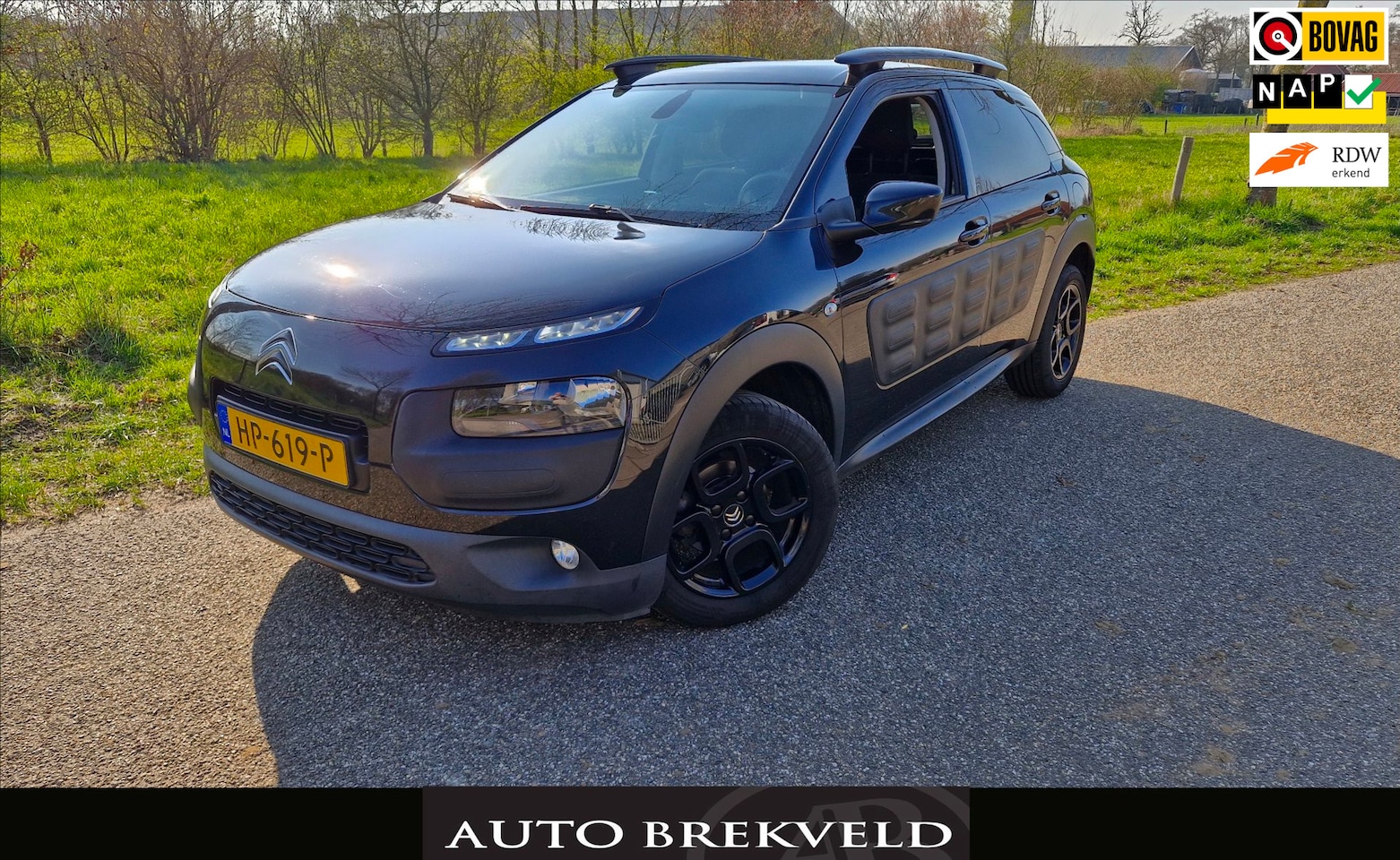 Citroën C4 Cactus - 1.2 PureTech Shine 110PK | Rijklaarprijs | Camera | Clima | Pano | LMV | Navi | NAP - AutoWereld.nl