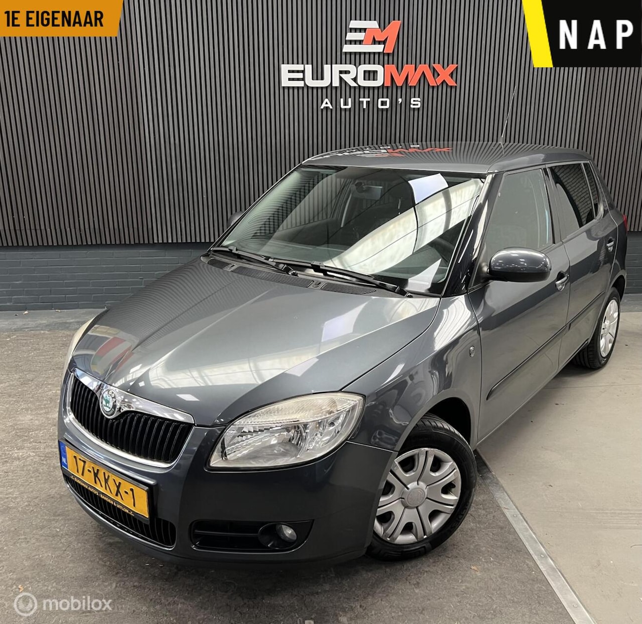 Skoda Fabia - 1.4-16V Ambition 1e eigenaar distr. verv. cruise - AutoWereld.nl