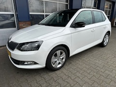Skoda Fabia - 1.2 TSI AMBITION BUSINESS. Automaat, Carplay, Navi ALL IN prijs