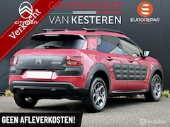 Citroën C4 Cactus - 110pk Shine I Vol Automaat I