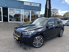 BMW X1 - xDrive30e M-Sport Panoramadak