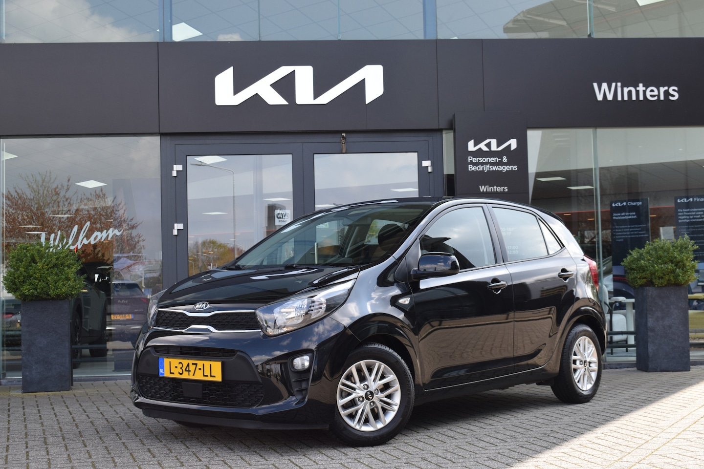 Kia Picanto - 1.0 DPi DynamicLine | Airco | Camera | Cruise Control | Tot 10Jr. Kia-Garantie | - AutoWereld.nl