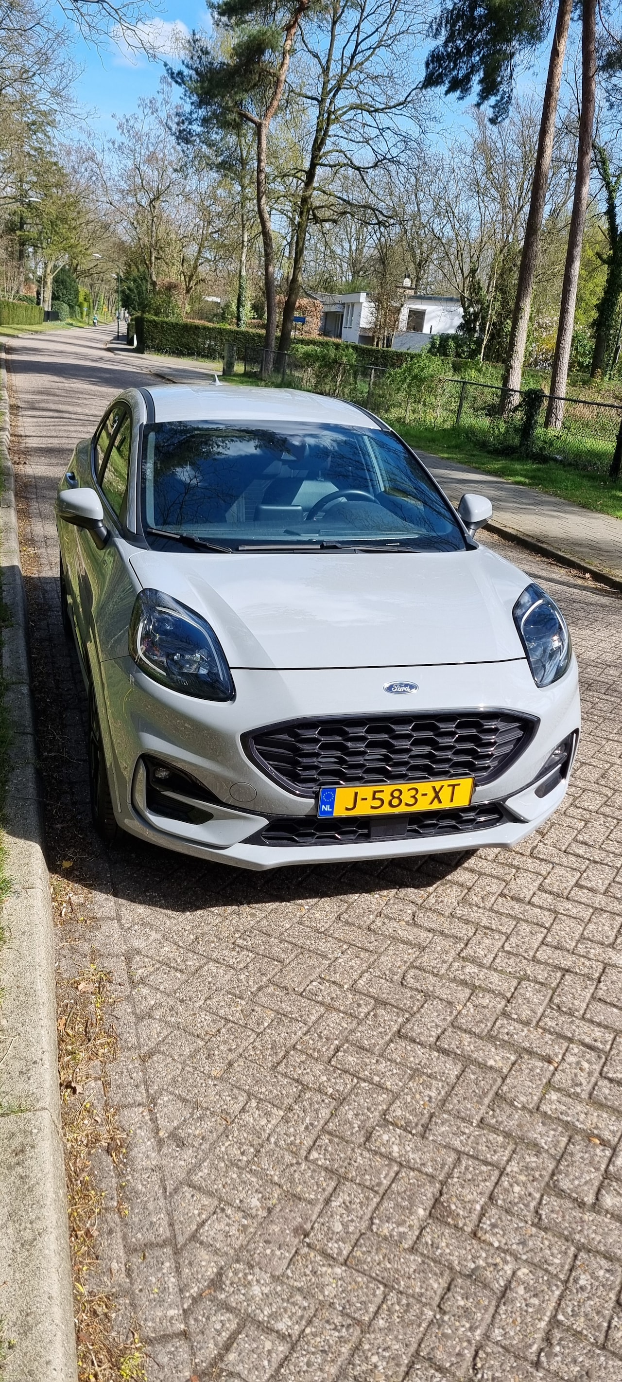 Ford Puma - 1.0 EcoBoost Hybrid ST-Line - AutoWereld.nl
