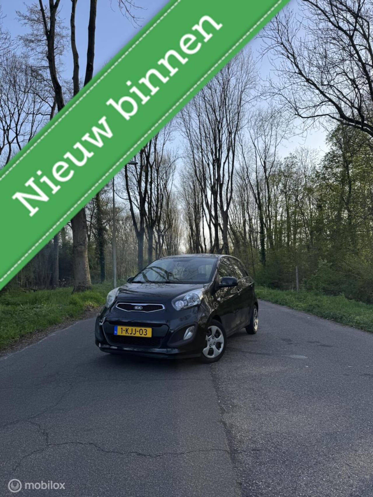 Kia Picanto - 1.0 CVVT | Elek. ramen | Airco | Olieverbruik! - AutoWereld.nl