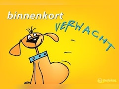 Peugeot 107 - 1.0 Active, Airco, CV, Elektr.ramen, Stoelverw., Mistlampen