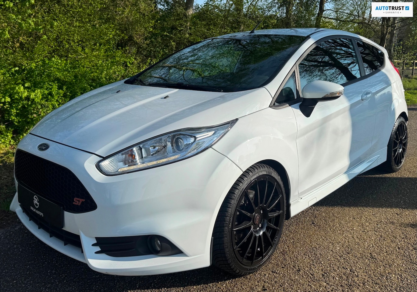 Ford Fiesta - 1.6 ST2|184PK|2014|DEALER ONDERHOUDEN|CRUISE|ERG MOOIE AUTO| - AutoWereld.nl