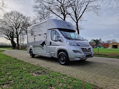 Opel Movano - AKX S3 paardenwagen hengsten uitvoering jong gebruikt enkel cabine (id:13)