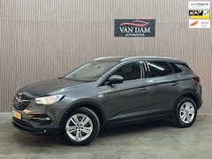 Opel Grandland X - 1.2 Turbo Business Executive 2020 NAP LED CAR-PLAY