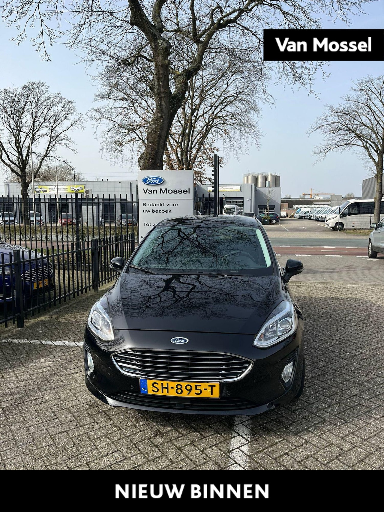 Ford Fiesta - 1.0 EcoBoost Titanium 1.0 EcoBoost Titanium - AutoWereld.nl