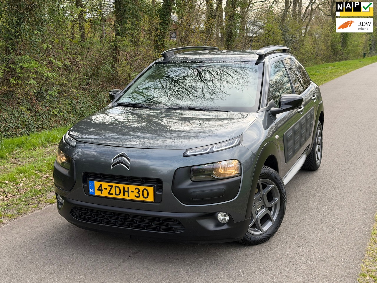 Citroën C4 Cactus - 1.2 e-VTi Shine | Automaat + Cruise + Airco Nu € 6.975,-!!! - AutoWereld.nl