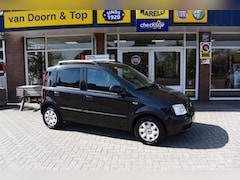 Fiat Panda - 1.2 EDIZIONE COOL