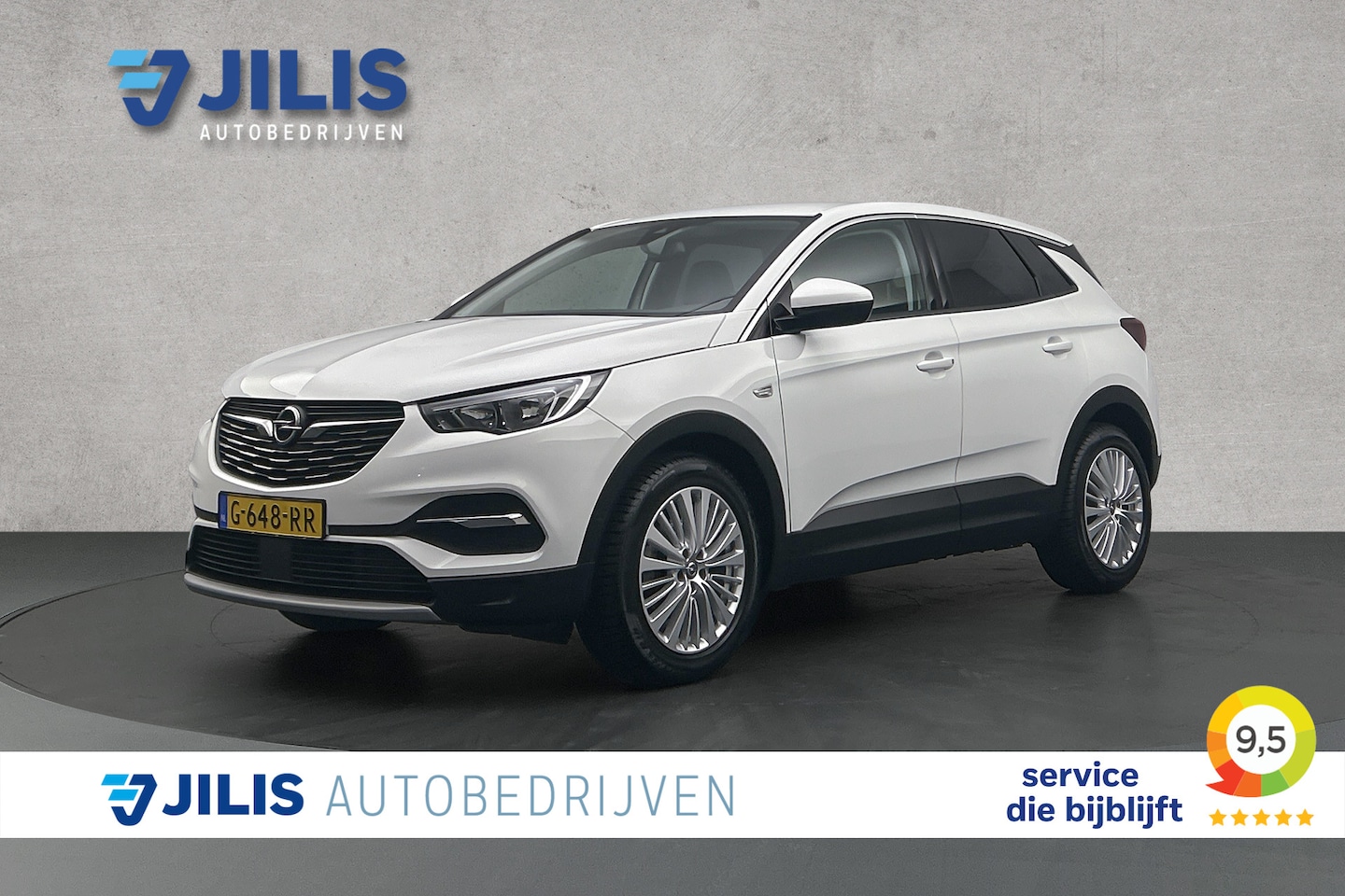 Opel Grandland X - 1.2 Turbo Business Executive | Half lederen bekleding | Navigatie | Cruise control - AutoWereld.nl