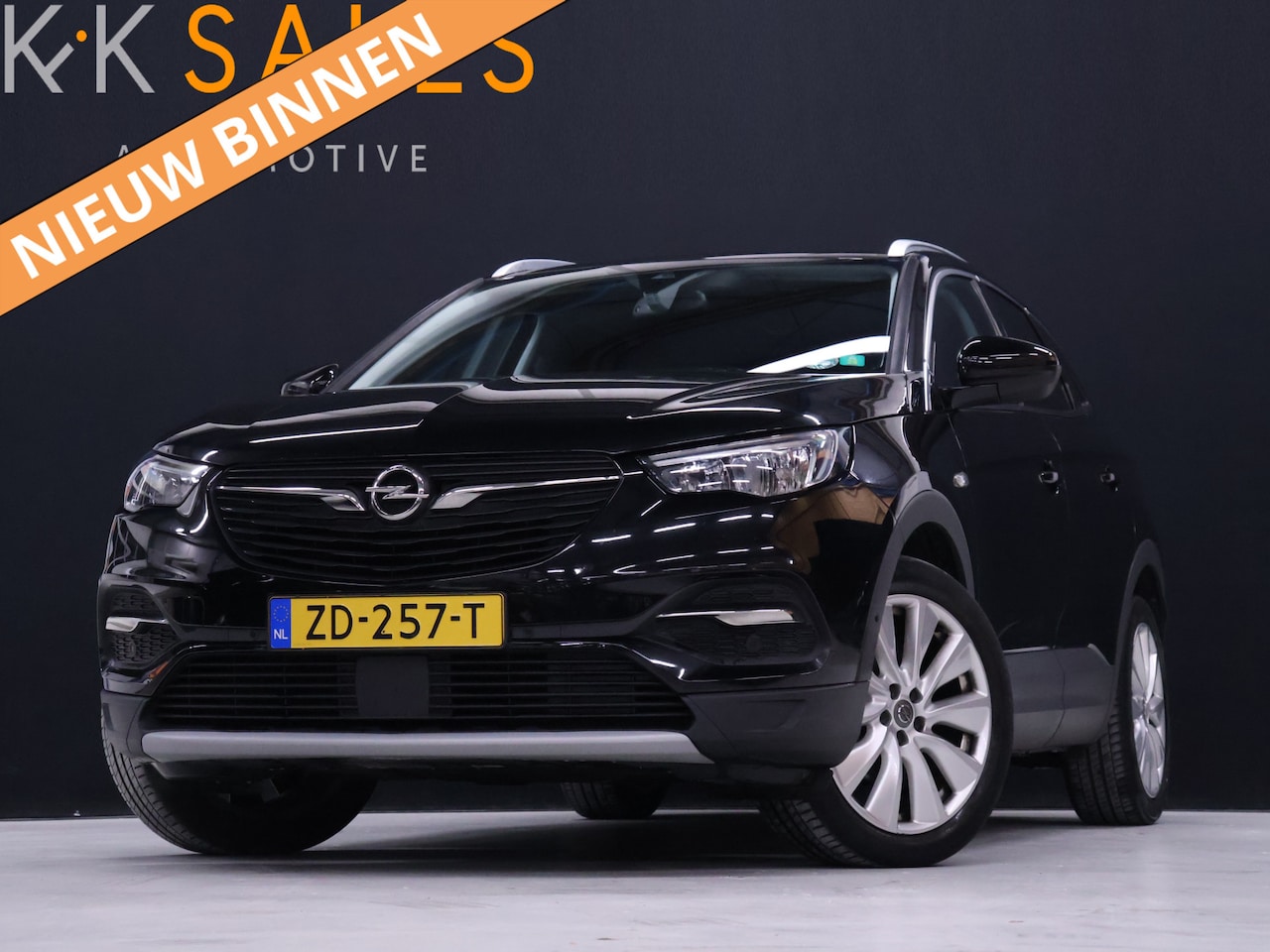 Opel Grandland X - 1.2 Turbo Business Executive [APPLE CARPLAY, CAMERA, DODE HOEK DETECTIE, CRUISE CONTROL, E - AutoWereld.nl