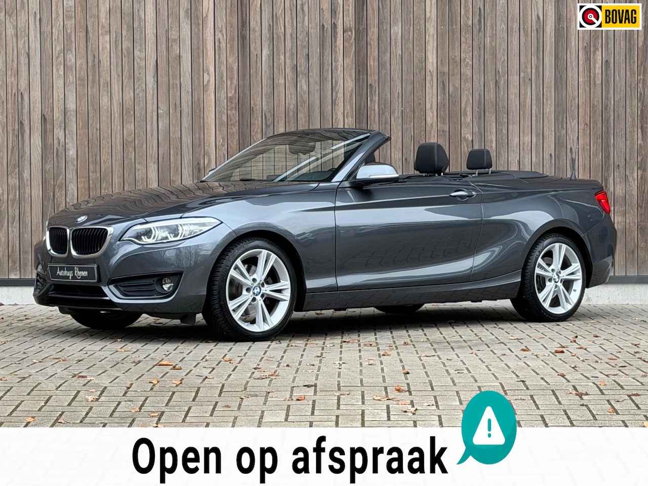 BMW 2-serie Cabrio - 220i Executive / H&K / Stuurverwarming / - AutoWereld.nl