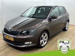 Skoda Fabia - Occasion 1.2 TSI First Edition Style | Bruin | Tweedehands Fabia | Cruisecontrol | Airco |