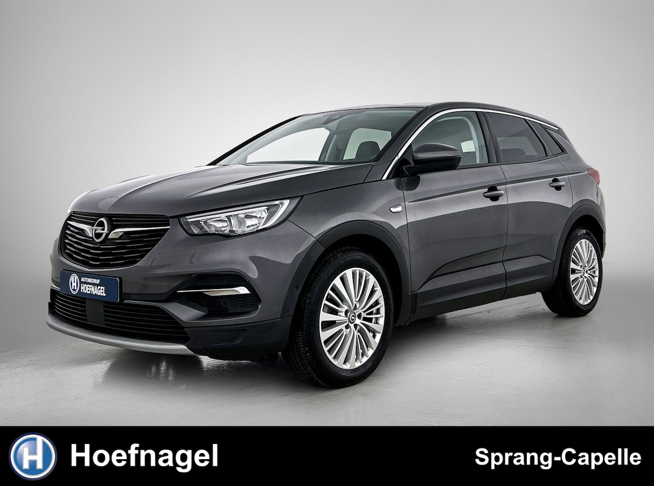 Opel Grandland X - 1.2 Turbo Business Executive | Trekhaak | CarPlay | Navigatie | Cruise Control | - AutoWereld.nl