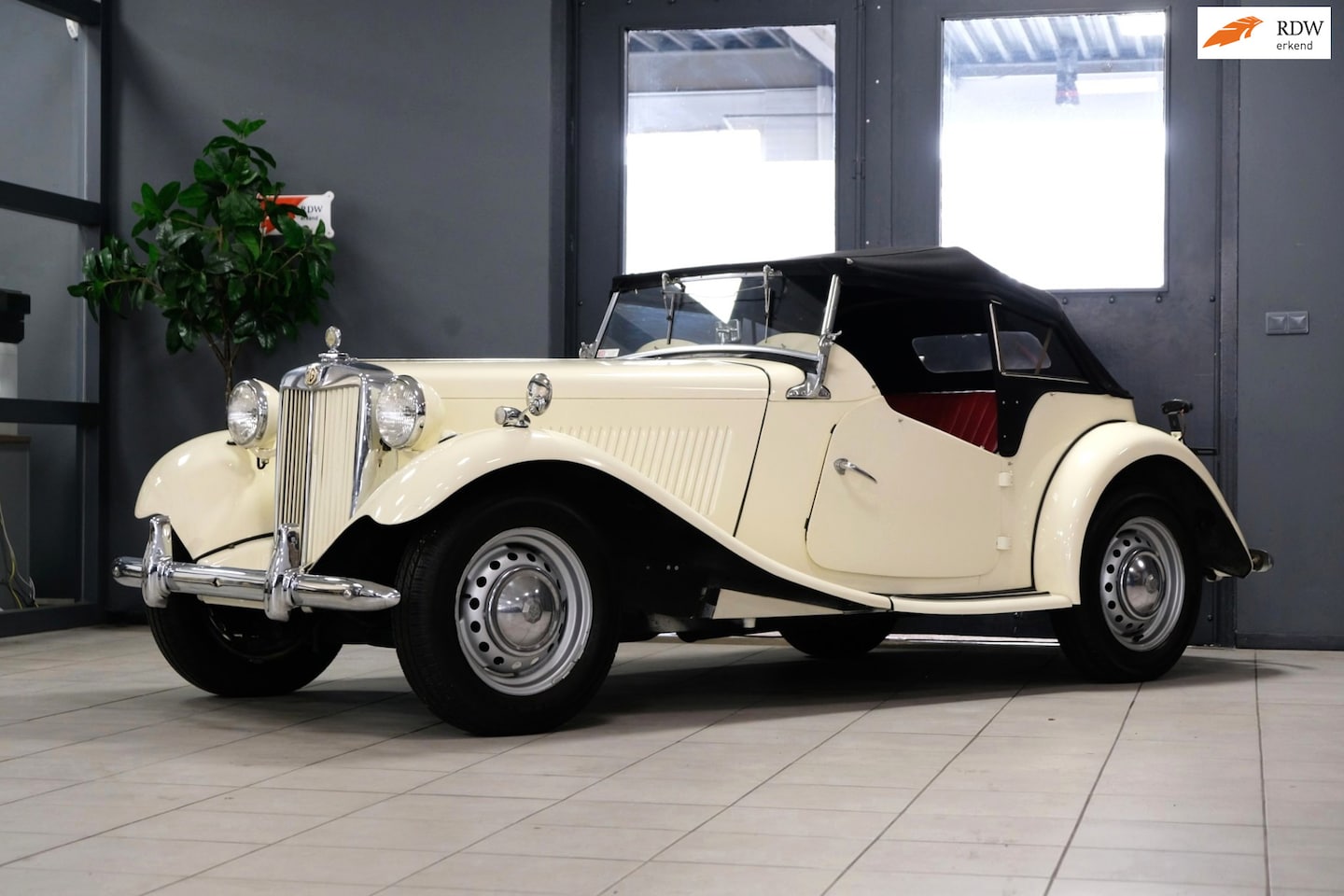 MG TD - 1952 volledig gerestaureerd - AutoWereld.nl