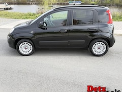 Fiat Panda - 1.2 Actual, 5 deurs met apk