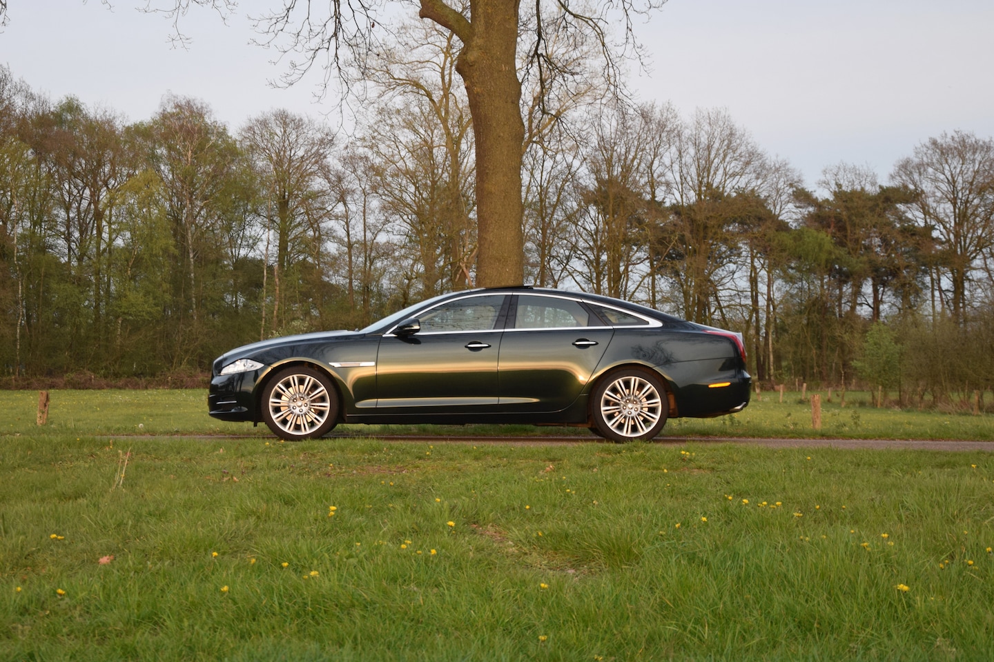 Jaguar XJ - 3.0 V6D Premium Luxury Botanical Green – 197.301km – Y2010 - AutoWereld.nl