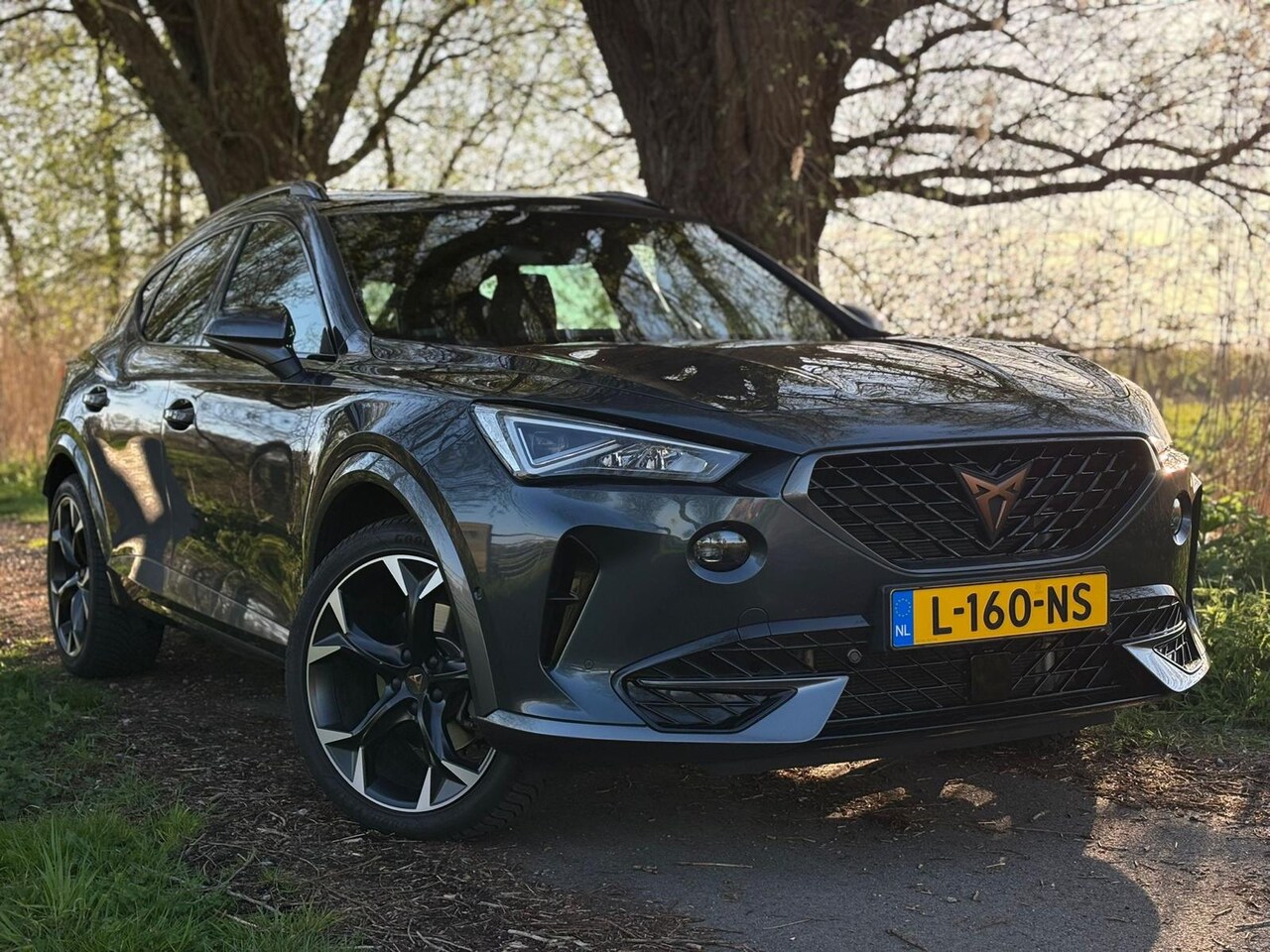 Dorrestijnauto's
