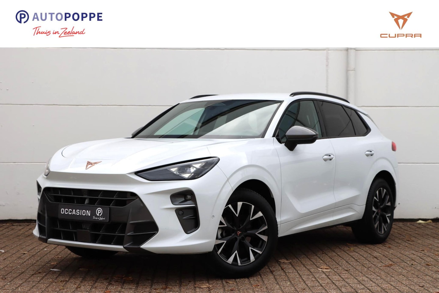 CUPRA Terramar - 1.5 TSI eTSI Business 150pk DSG7 | Memory | Keyless | Carplay - AutoWereld.nl