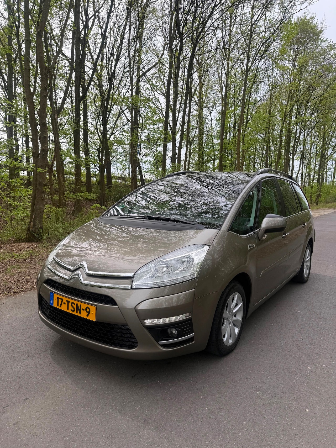 Citroën Grand C4 Picasso - 1.6 THP Collection EGS 5p, automaat, Nwe APK! - AutoWereld.nl