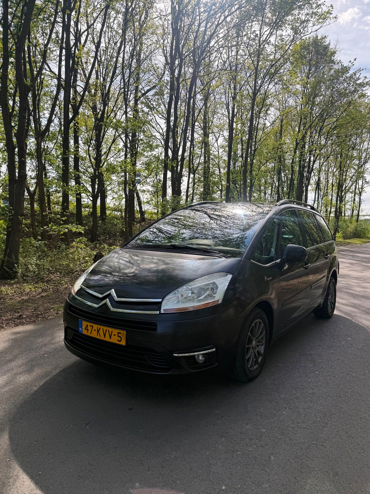 Citroën Grand C4 Picasso - 1.6 THP Business EB6V, 7p., automaat, Nwe APK! - AutoWereld.nl