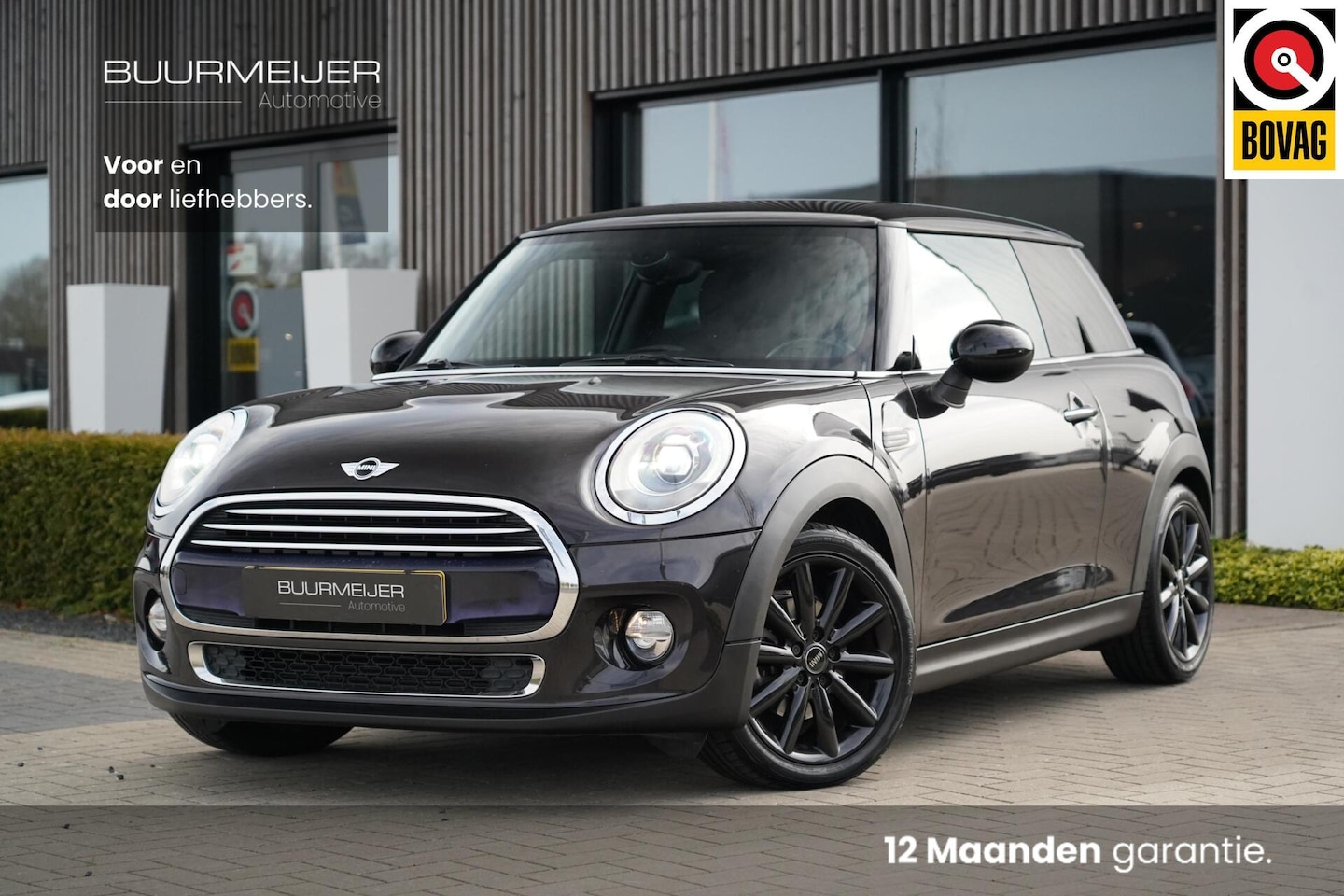 MINI Cooper - Mini 1.5 Chili Serious Business - AutoWereld.nl
