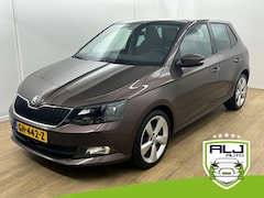 Skoda Fabia - Occasion 1.2 TSI First Edition Style | Bruin | Tweedehands Fabia | Cruisecontrol | Airco |