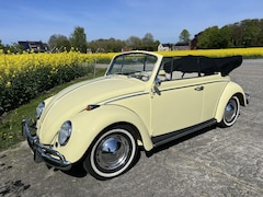 Volkswagen Kever Cabriolet - 151 Totaal gerestaureerd zie omschrijving voor meer informatie