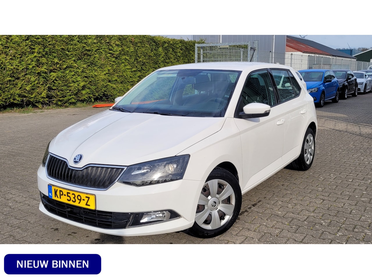 Skoda Fabia - 1.4 TDI Ambition CRUISE AIRCO - AutoWereld.nl