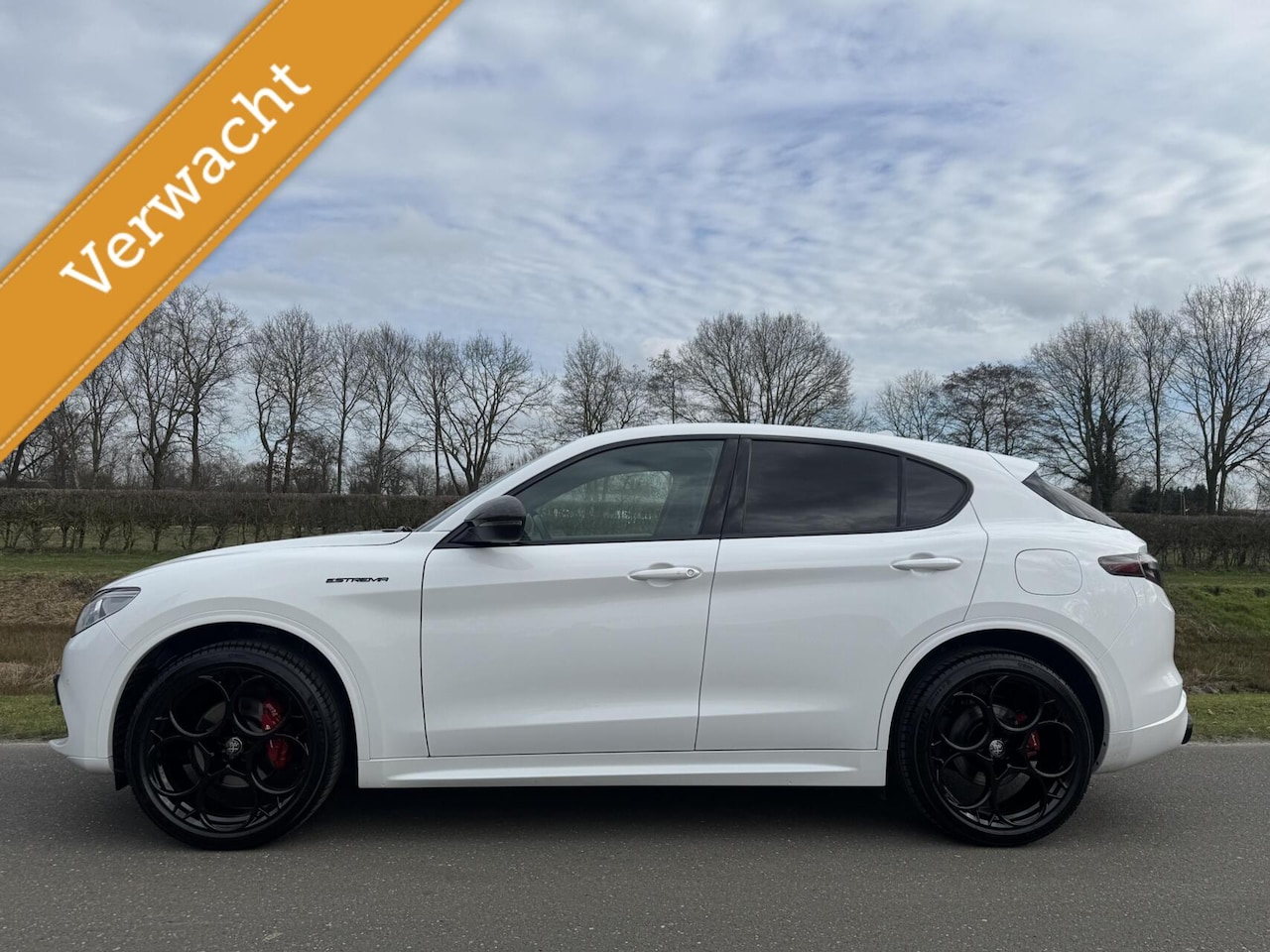 Alfa Romeo Stelvio - 2.0 T Q4 280pk Estrema, Alle opties!! - AutoWereld.nl