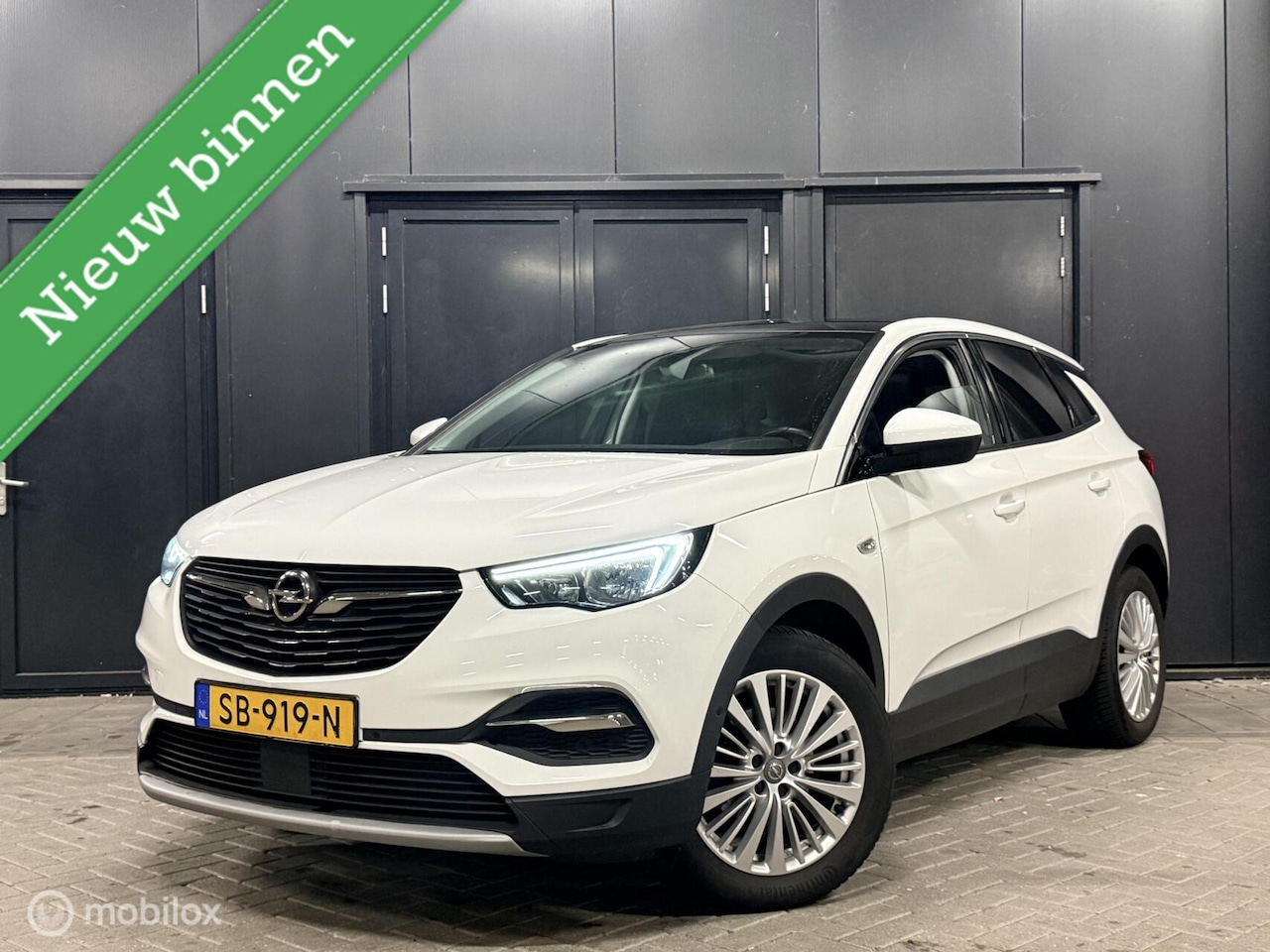 Opel Grandland X - 1.2 Turbo Business Executive Pano|bomvol - AutoWereld.nl